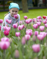 Girl beside tulips