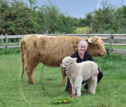 Rare white Highland calf born to a family of brown Highland cattle at Walnut Tree Farm Park in Newport, Gent, Wales, Britain - 20 May 2011
