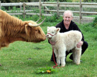Rare white Highland calf born to a family of brown Highland cattle at Walnut Tree Farm Park in Newport, Gent, Wales, Britain - 20 May 2011