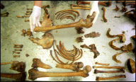 Bosnia Missing Persons - The Bosnian War (1992?1995) / Srebrenica Genocide