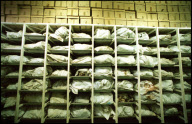 Bosnia Missing Persons - The Bosnian War (1992?1995) / Srebrenica Genocide
