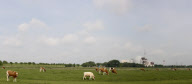 Das Kernkraftwerk Brokdorf