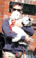 Robbie Williams verlŠsst mit Hunden auf dem Arm ein Hotel in Manchester