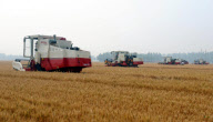 CHINA-SHANDONG-HEZE-WHEAT HARVEST (CN) 