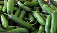 GERMANY-E. COLI-OUTBREAK