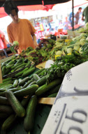 GERMANY-E. COLI-OUTBREAK