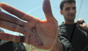 JORDAN-AMMAN-PRISONERS-GENERAL AMNESTY