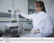 BERLIN: EHEC bacteria