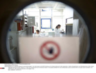 BERLIN: EHEC bacteria