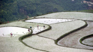 #CHINA-RICE PLANTING-TERRACE (CN)
