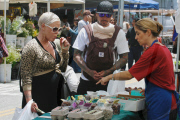 Pink and Carey Hart Bring Baby Willow to the Market