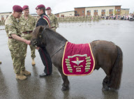 Prince Charles and Camilla, Duchess of Cornwall visit The Parachute Regiment, Merville Barracks, Colchester, Essex, Britain - 16 Jun 2011