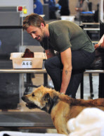 Ryan Gosling and His Dog Fly Out