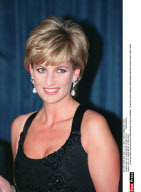 USA< NY: DIANA RECOIT LE PRIX PALSY       TRANSMISSION