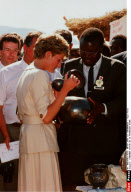 ZIM<DIANA AU ZIMBABUWE