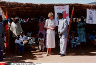 ZIM<DIANA AU ZIMBABUWE