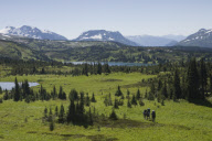 Mountain Expedition