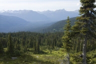 Mountain Expedition