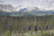 Mountain Expedition