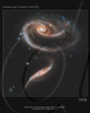 Rose of Galaxies