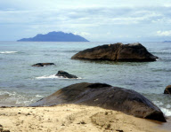 Colour Medium Format Transparency