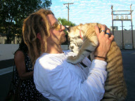 *EXCLUSIVE* Bradley Cooper has new found Love with Tigers