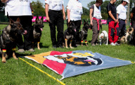 BELGIUM-WORLD CHAMPIONSHIP FOR RESCUE DOGS