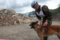 BELGIUM-WORLD CHAMPIONSHIP FOR RESCUE DOGS