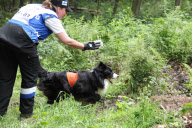 BELGIUM-WORLD CHAMPIONSHIP FOR RESCUE DOGS
