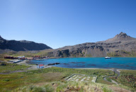 2009-01-22: Blick auf Grytviken; in der Bucht liegt die eisverstŠrkte Motoryacht Hanse Explorer vor Anker. - Grytviken ist der einzige ganzjŠhrig bewohnte Ort und zugleich die Haupt"stadt" des Britischen ?berseegebietes SŸdgeorgien/SŸdliche Sandwichin