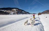 2011-02-06: 28. Internationales Schlittenhunderennen in Student (Schweiz). Susanne Jost (Startnummer 53) mit ihrem Gespann (Samojeden). Sie erreichte den 3. Rang in der Kategorie C2. 
