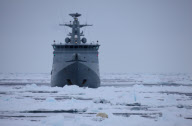 Polar bear on Labador sea ice