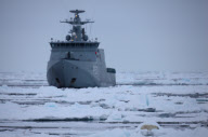 Polar bear on Labador sea ice
