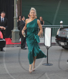 Anna Kournikova at the BAFTA dinner for Prince William and Kate Middleton