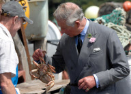 Charles and Camilla In Devon