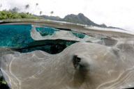 Surfing photos by Brian Bielmann - 27 Jun 2011