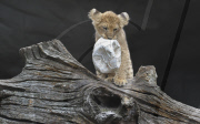 Löwenbabies im Gehege des Tierparks Hagenbeck in Hamburg