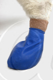 'Pawz' elasticated, waterproof boots for dogs, America - 11 Jul 2011