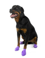 'Pawz' elasticated, waterproof boots for dogs, America - 11 Jul 2011