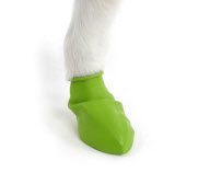 'Pawz' elasticated, waterproof boots for dogs, America - 11 Jul 2011