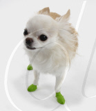'Pawz' elasticated, waterproof boots for dogs, America - 11 Jul 2011