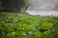 Travel and Wildlife - South East Asia