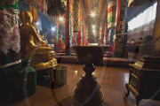 Travel and Wildlife - South East Asia