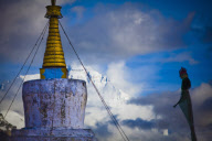 Travel and Wildlife - South East Asia