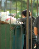 Vanessa Hudgens is Unrecognizable on the set of 'Gimme Shelter'