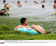 CHINA: Beach covered by green algae
