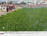 CHINA: Beach covered by green algae