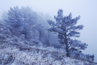 Scenic landscapes