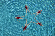 Synchronised Swimming