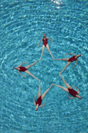Synchronised Swimming